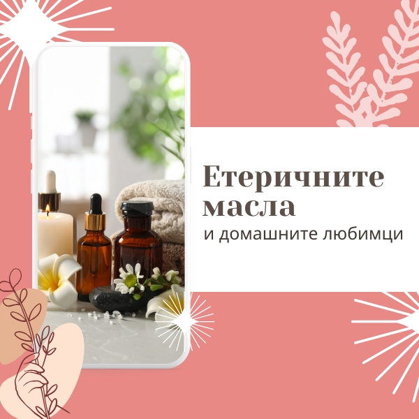 Употребата на етерични масла и домашните любимци